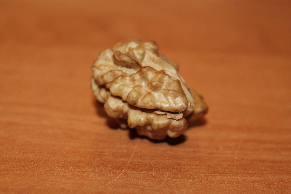 Brain food nuts