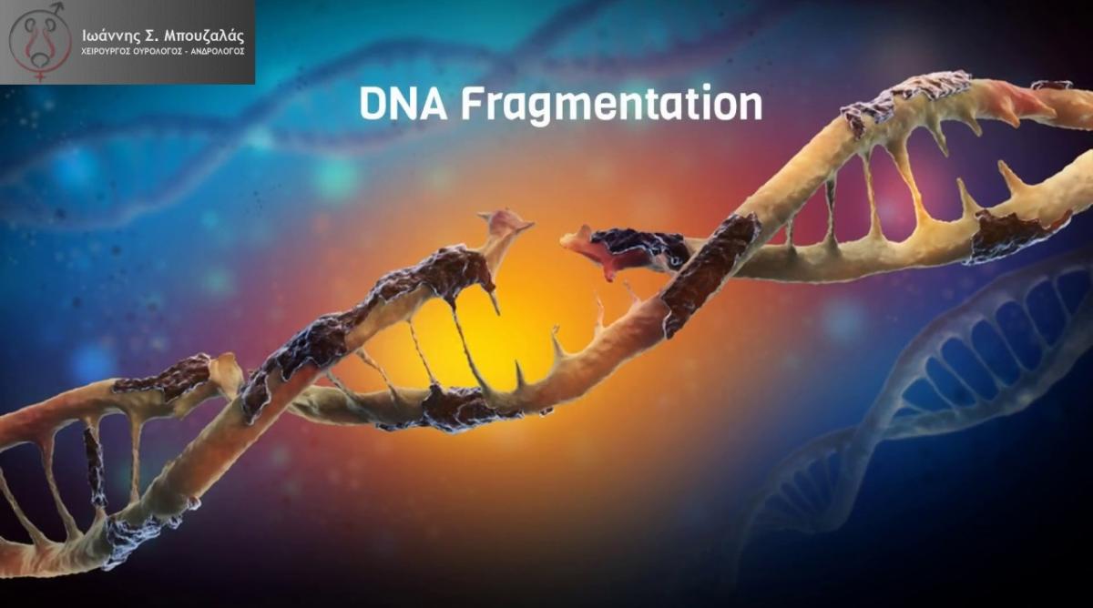 DFI, DNA Fragmentation Index