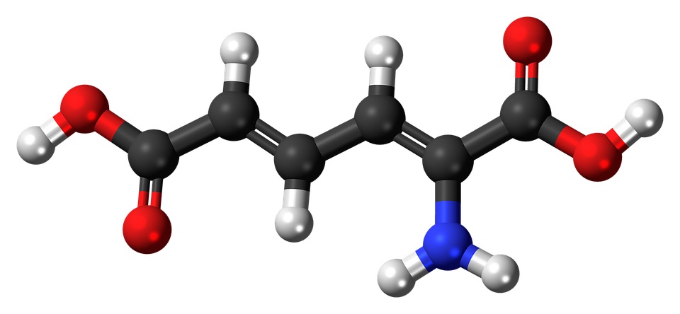 Amino Acid Metabolism Disorders