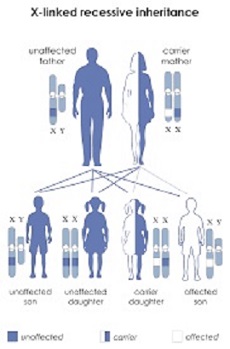 Haemophilia