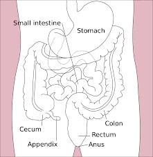 Anus cancer