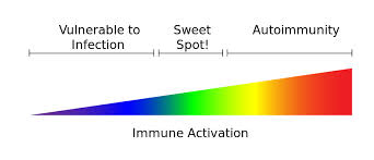 autoimmunie diseases