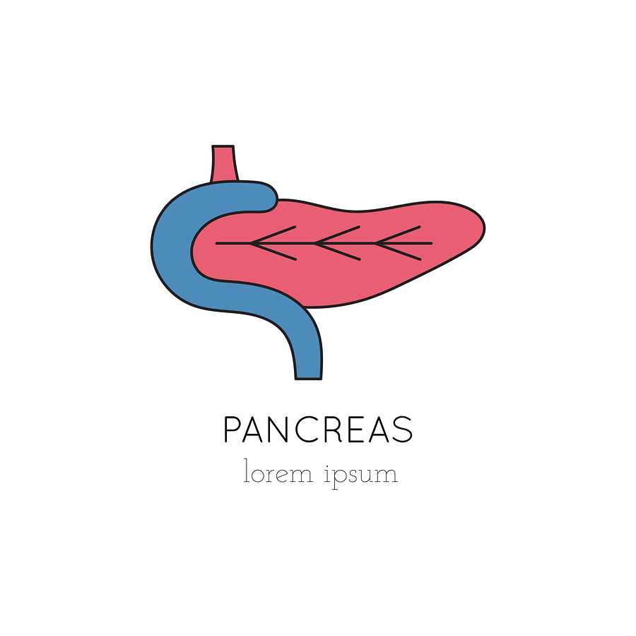 pancreas transplant