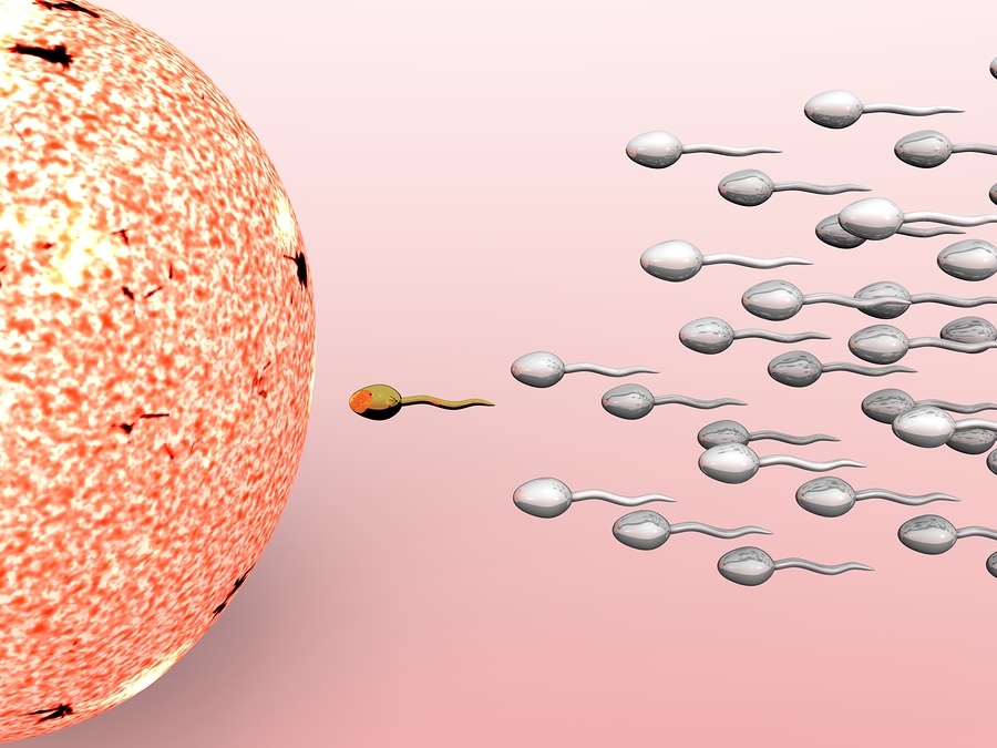 sperm mobility