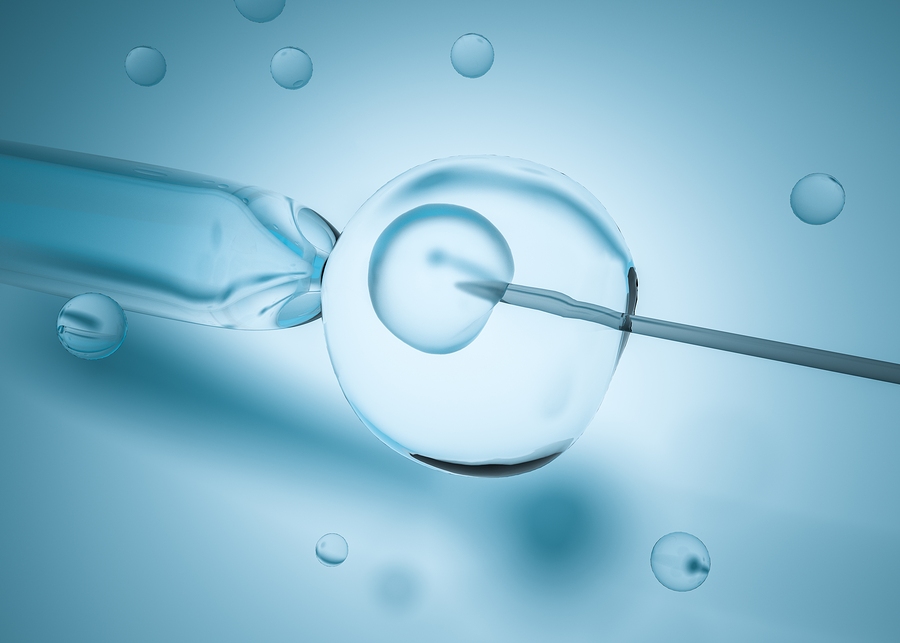 in vitro fertilization