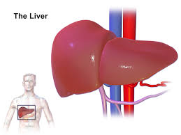 Liver cancer