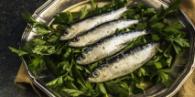 Sardines LDL