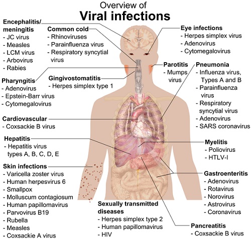 viral Infections